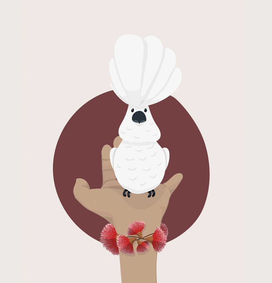 illustration d'un cacatoes