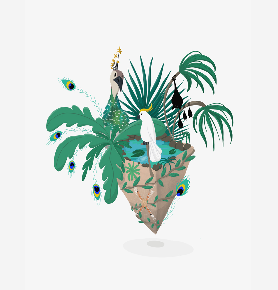 illustration nature