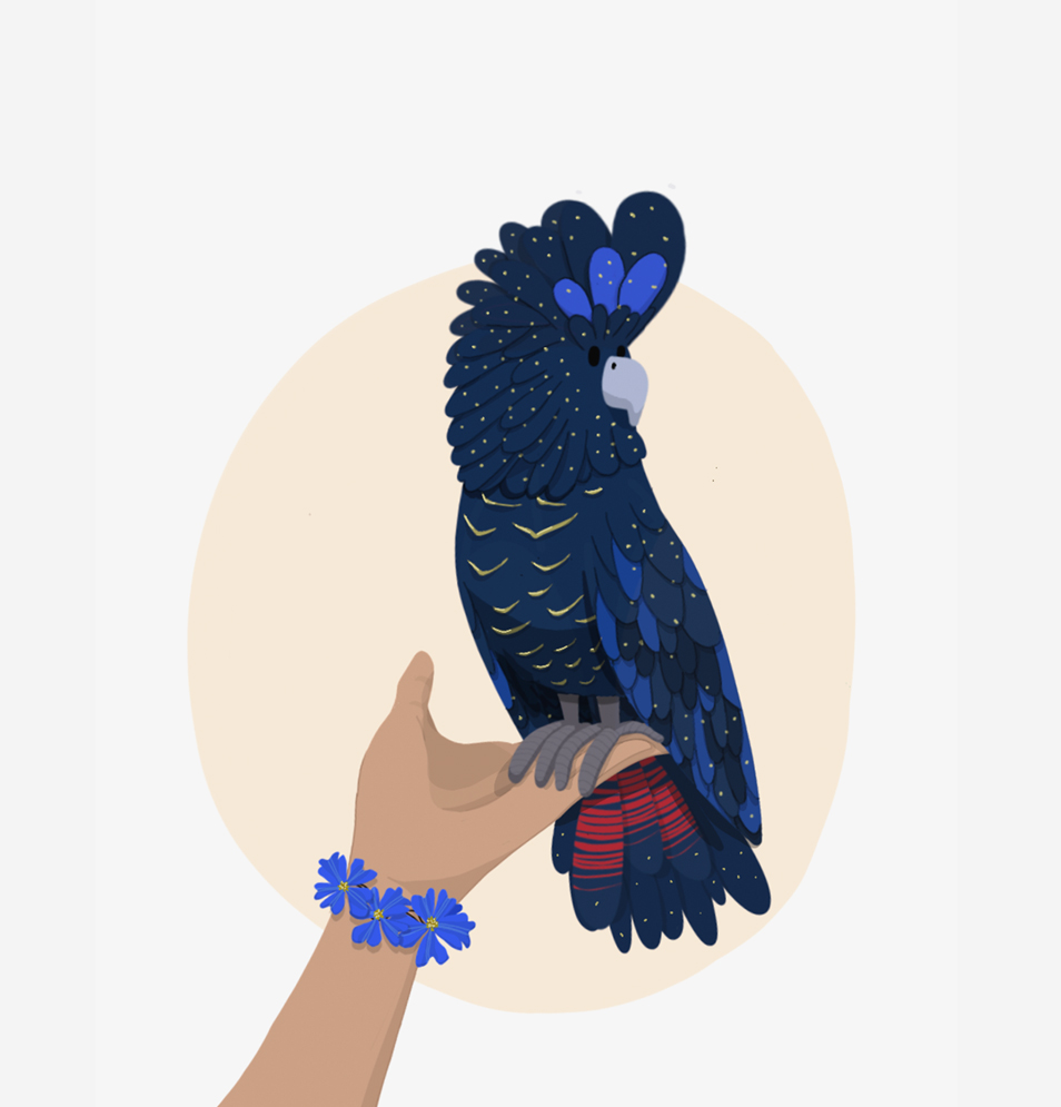 illustration oiseau bleu