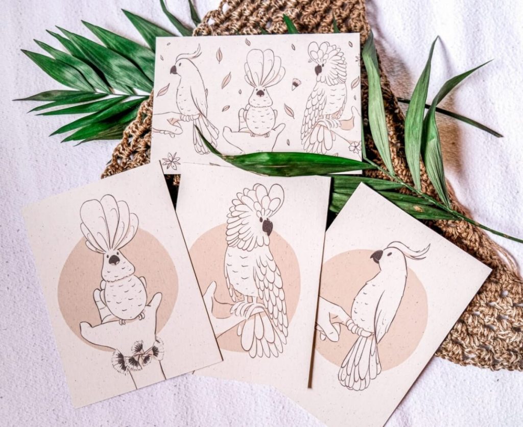 cartes illustrations d'oiseaux