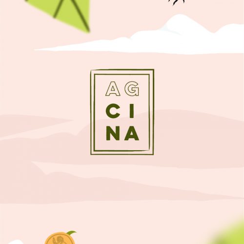 AGCINA 2024